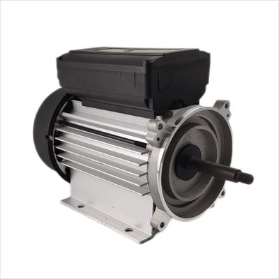 300-500W Submersible Motor Single Phase Electric 1hp 3000rpm Untuk Pompa Sirkulasi