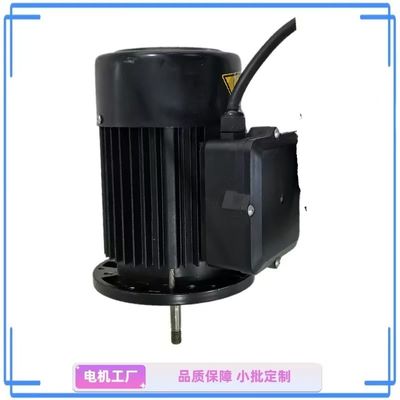 Kompak 1 HP Single-Phase Water Pump Motor - Ideal untuk Taman dan Rumah